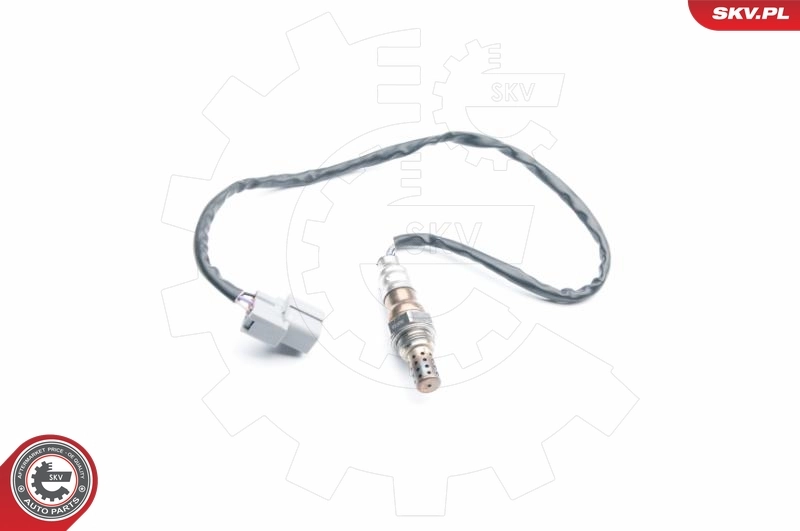 Oxygen Sensor
